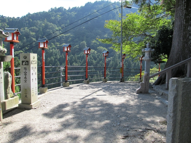 t09_192.jpg