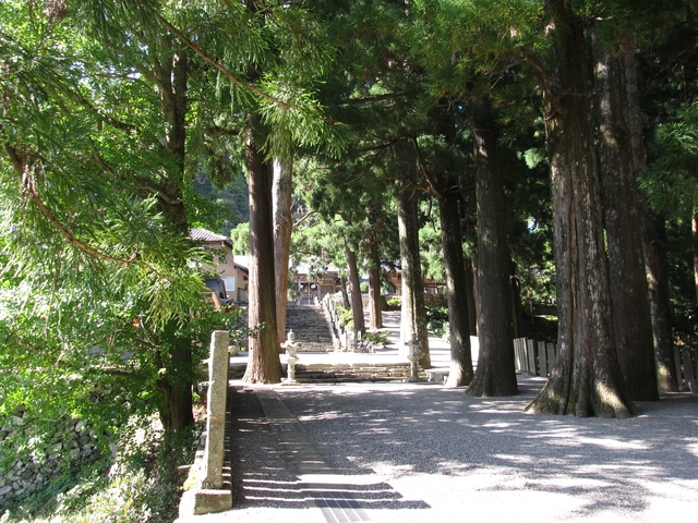 t09_195.jpg