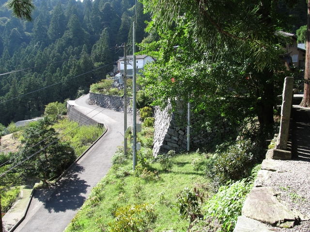 t09_196.jpg