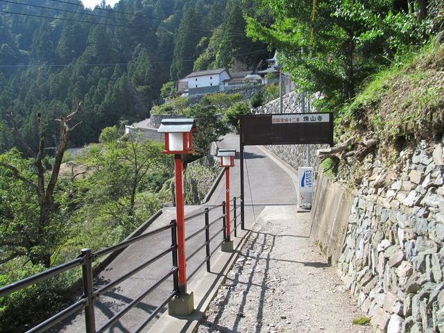 t09_198.jpg