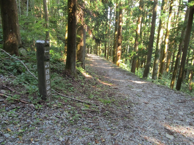 t09_202.jpg