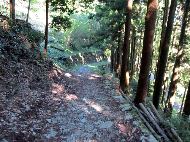 t09_203.jpg