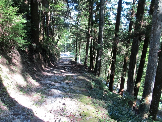 t09_204.jpg