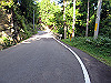 t09_208_thumb.jpg
