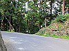 t09_209_thumb.jpg