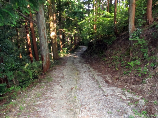 t09_210.jpg