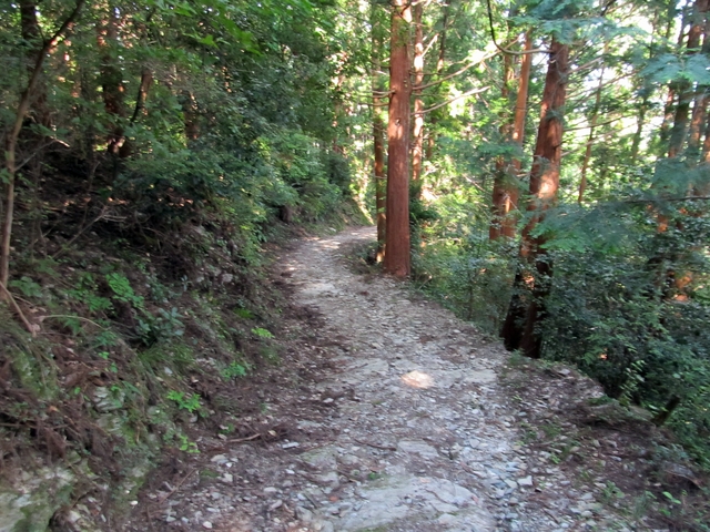 t09_211.jpg