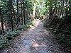 t09_212_thumb.jpg