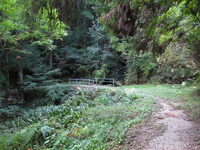 t09_214.jpg