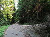 t09_216_thumb.jpg