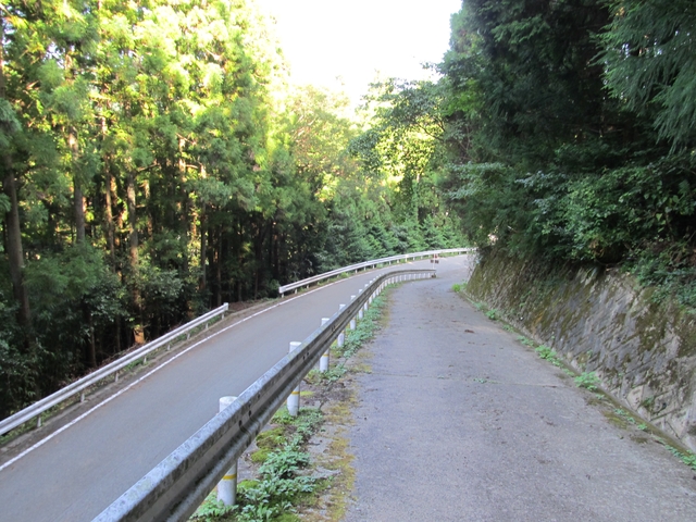 t09_217.jpg