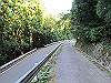 t09_217_thumb.jpg