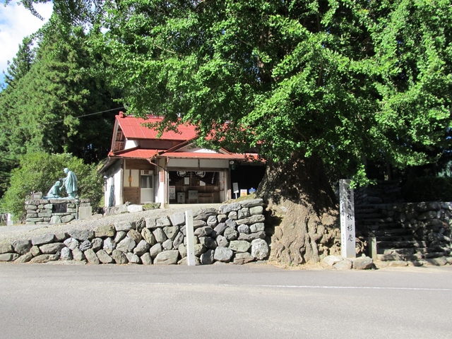 t09_220.jpg