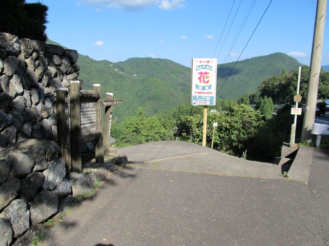 t09_221.jpg
