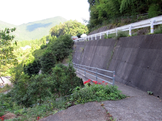 t09_222.jpg