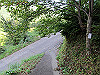t09_223_thumb.jpg