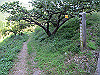 t09_224_thumb.jpg