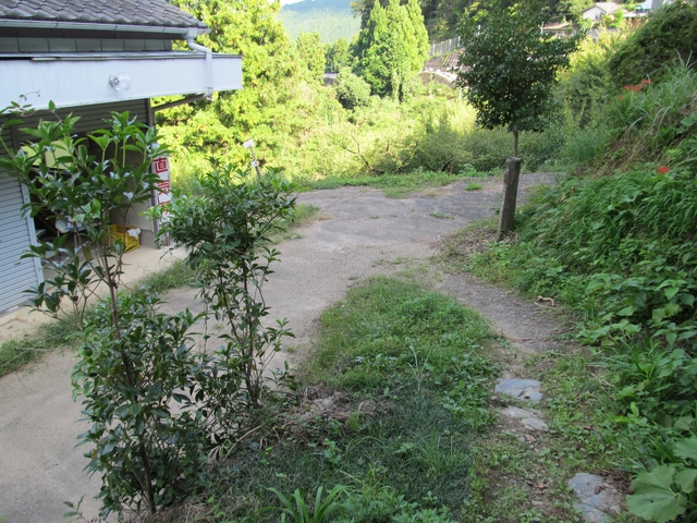 t09_226.jpg
