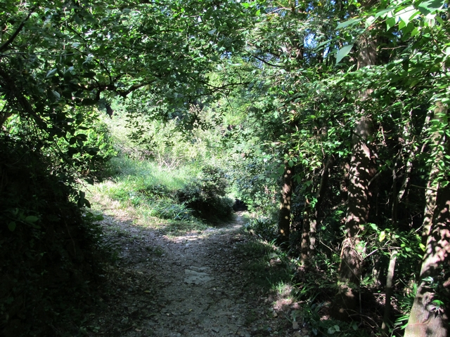 t09_230.jpg