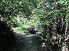 t09_230_thumb.jpg
