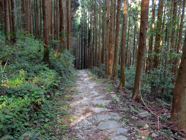 t09_231.jpg