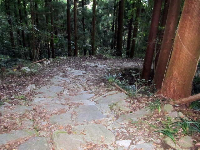 t09_232.jpg