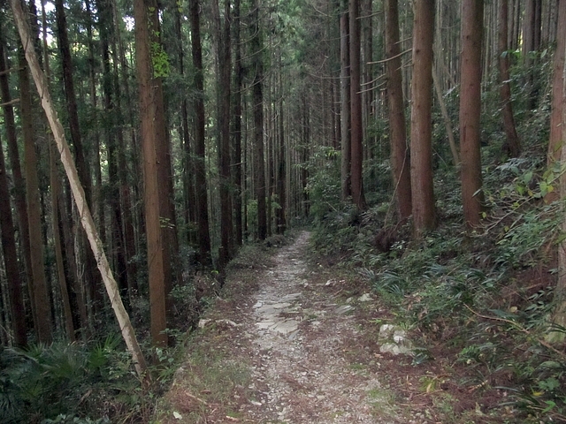 t09_233.jpg
