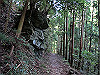 t09_237_thumb.jpg