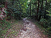 t09_238_thumb.jpg