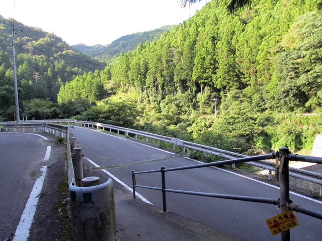 t09_240.jpg