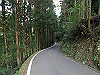 t09_241_thumb.jpg