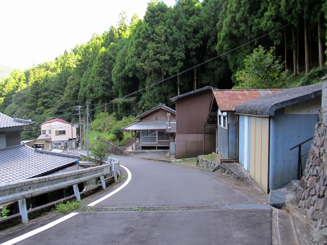 t09_242.jpg