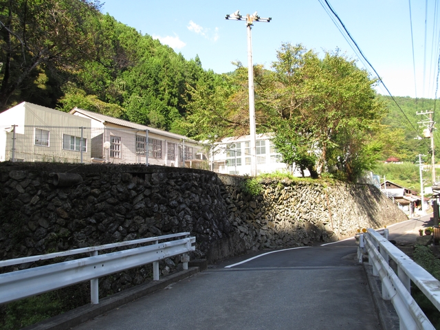t09_243.jpg