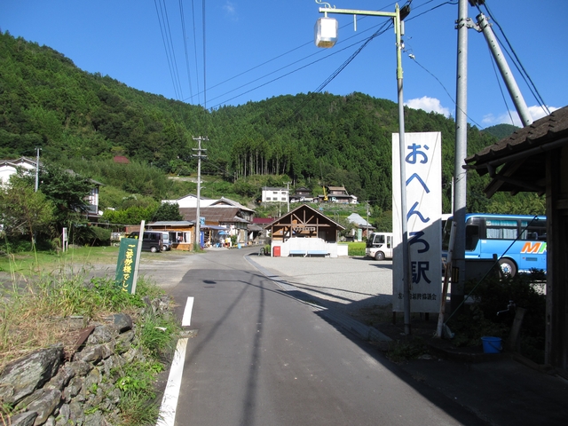 t09_245.jpg