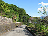 t09_247_thumb.jpg