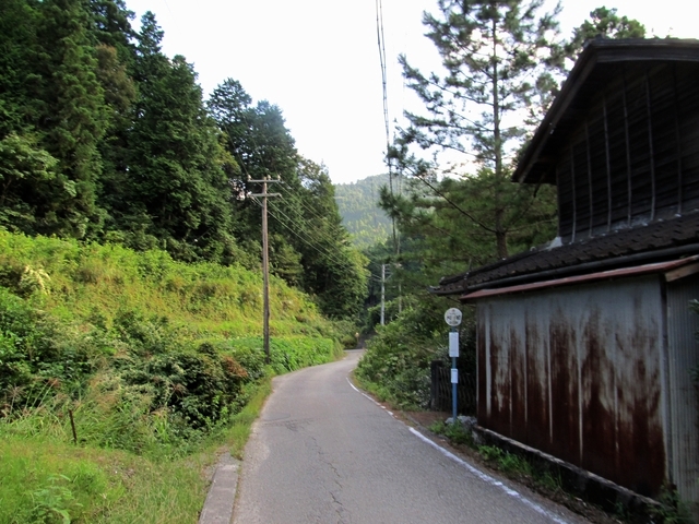 t09_249.jpg