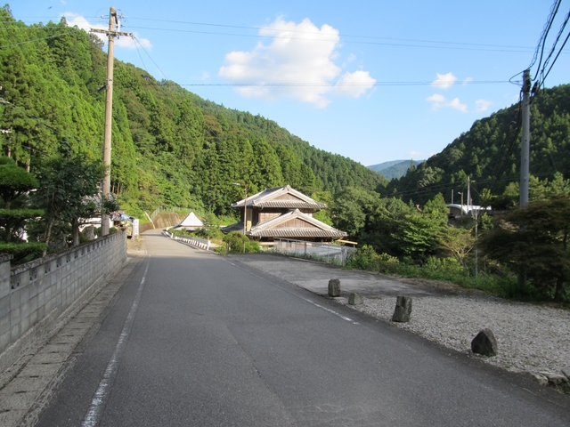t09_250.jpg