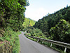 t09_252_thumb.jpg