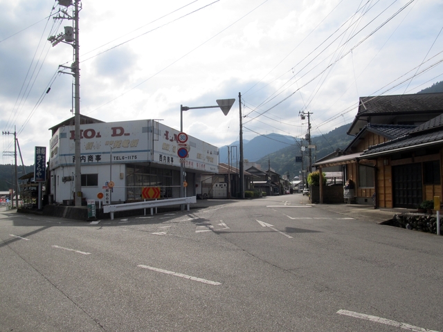 t09_260.jpg