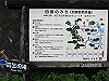 t09_265_thumb.jpg