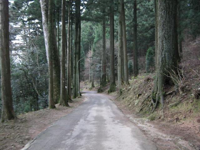 k01_04.jpg