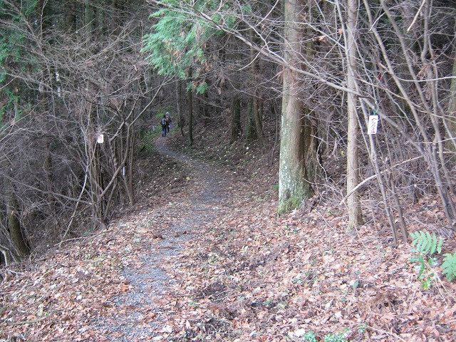 k01_11.jpg