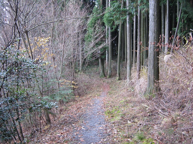 k01_12.jpg