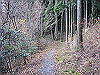 k01_12_thumb.png