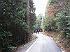 k01_15_thumb.png
