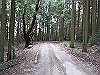 k01_19_thumb.png