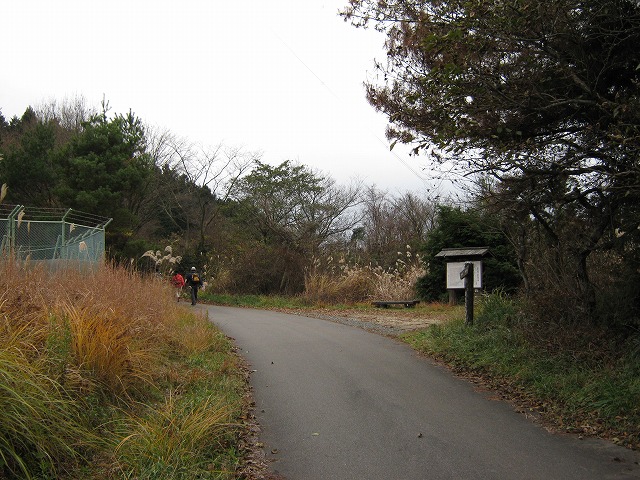 k01_22.jpg