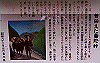 k01_29_thumb.png