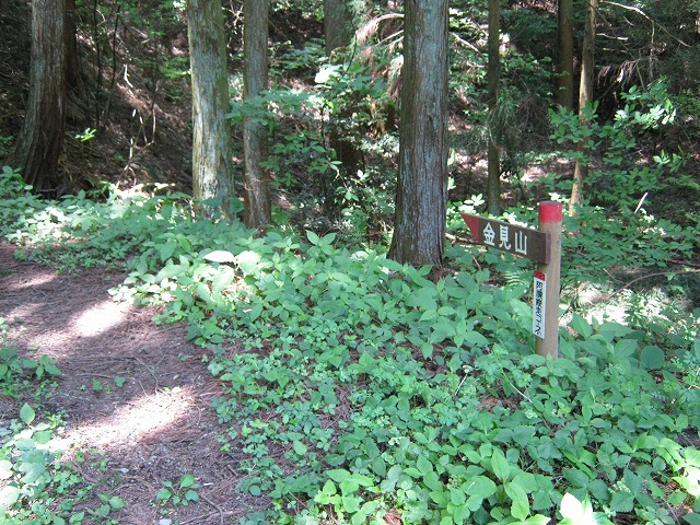 k01_35.jpg