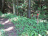 k01_35_thumb.png